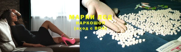 Альфа ПВП Верея