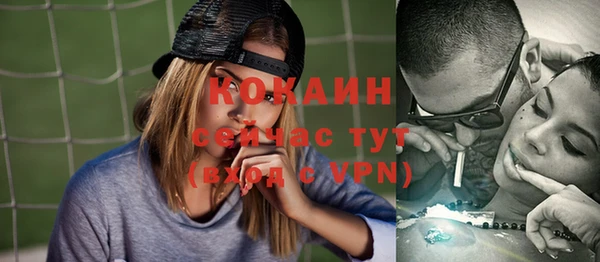 Альфа ПВП Верея