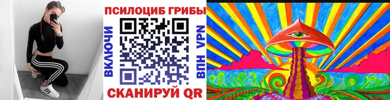 Галлюциногенные грибы MAGIC MUSHROOMS  Купить закладки  Талдом 